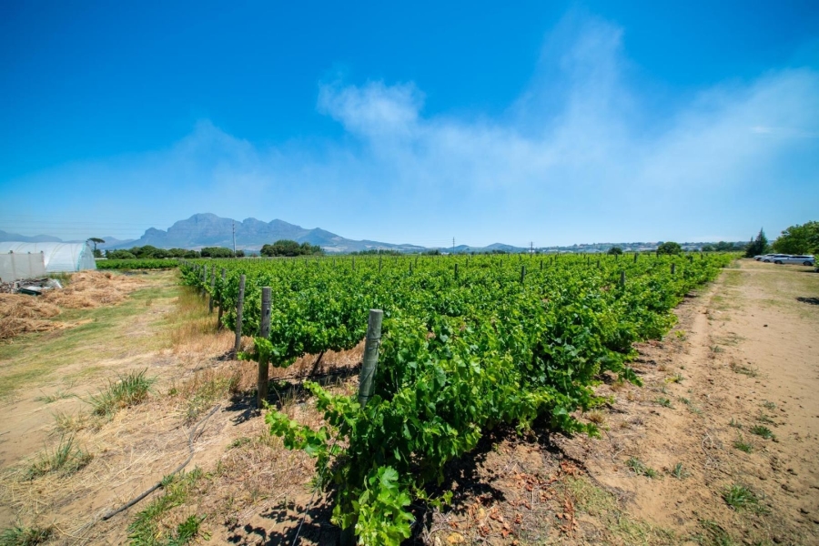 0 Bedroom Property for Sale in Val De Vie Estate Western Cape